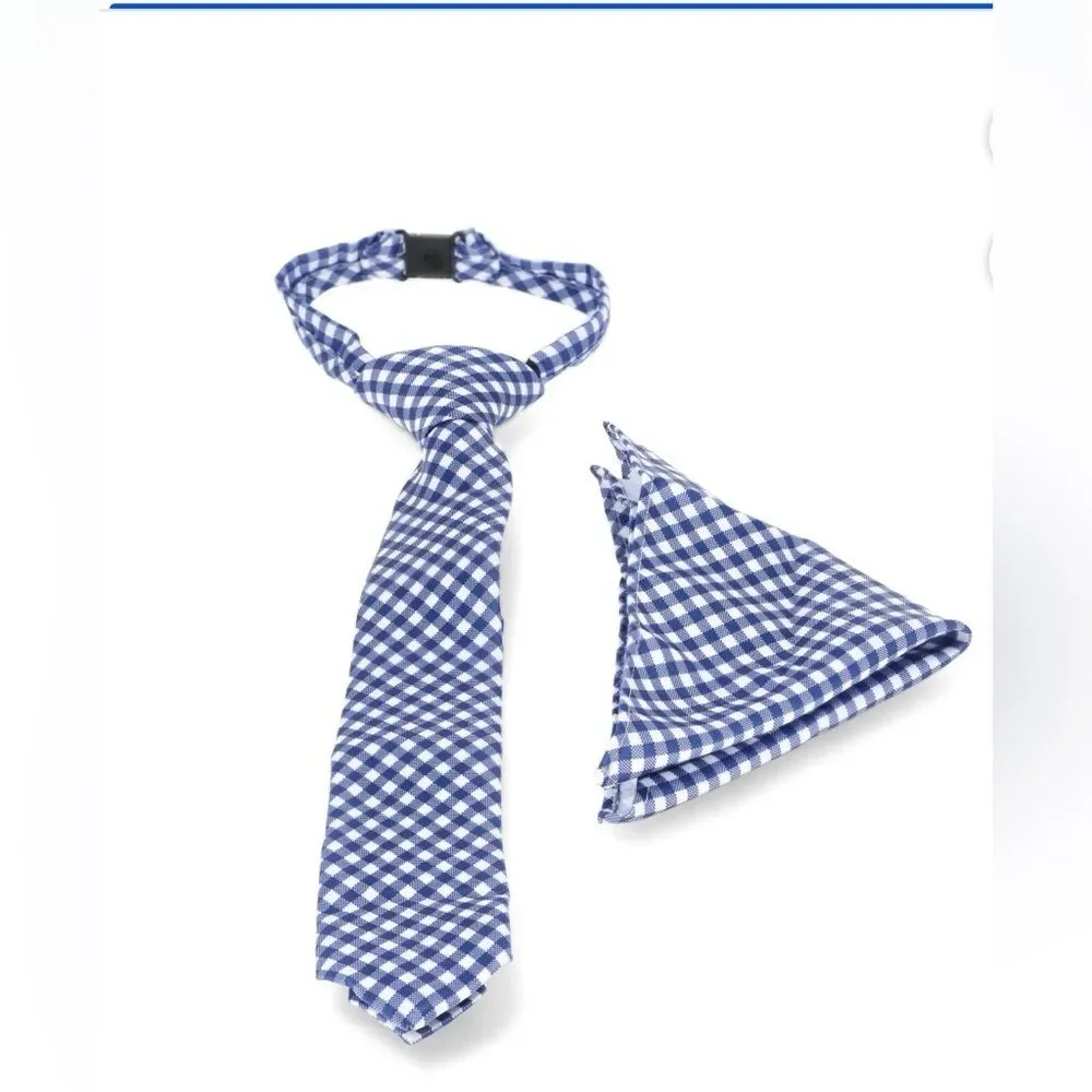 NWT Boy’s Blue Gingham Plaid Tie